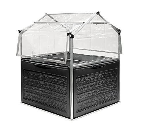 Canopia by Palram Mini Gewächshaus Bausatz Plant Inn 118x118cm Polycarbonatplatten UV-beständig von CANOPIA