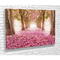 Rosa Baumtunnel, Kirschblumen in Japan, Druck Auf Leinwand, Option Mit Schwebendem Rahmen, Extra Große Wandkunst von CANVAS360
