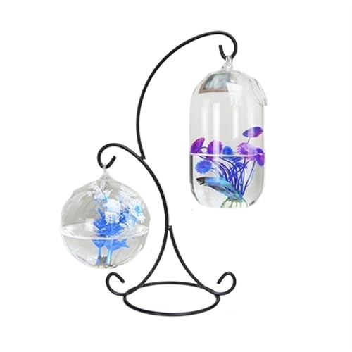 Aquarium, klein, hängend, Metallrahmen, 2 Stück, Glas, kleines Aquarium, hängende Schreibtisch-Dekoration, Aquarium von CAOJLjiaxiang-2012