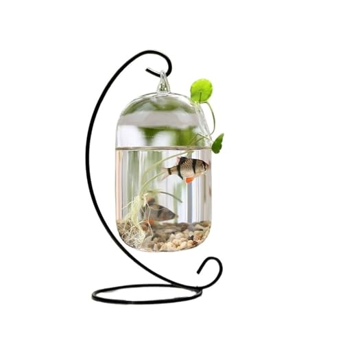 Aquarium, kleines Aquarium, hängendes Design, schönes Glas, kleines Aquarium, Metallrahmen, zum Aufhängen, Desktop, dekoratives Aquarium, schwarz, groß Aquarium, kleines Aquarium, hängendes Design, schönes Glas, kleines Aquarium, Metallrahmen, zum Aufhängen, Desktop, dekoratives Aquarium, schwarz, groß von CAOJLjiaxiang-2012