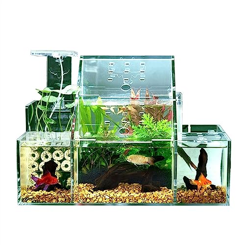 Aquarium, ökologischer Fischtank, Schreibtischzucht, Schlüpfen, spezielle Fischtank-Isolierbox, zirkulierende Wasserfilterpumpe, Dekoration für Fischtank im Büro Aquarium, ökologischer Fischtank, Schreibtischzucht, Schlüpfen, spezielle Fischtank-Isolierbox, zirkulierende Wasserfilterpumpe, Dekoration für Fischtank im Büro von CAOJLjiaxiang-2012