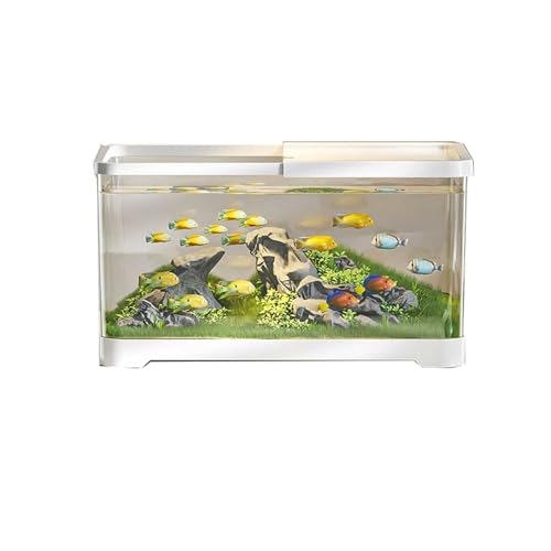 Aquarium, transparent, Acryl, mit Deckel und Boden, kleines Wohnzimmer, Haushalt, Fischzuchtbecken (weiß, klein) von CAOJLjiaxiang-2012
