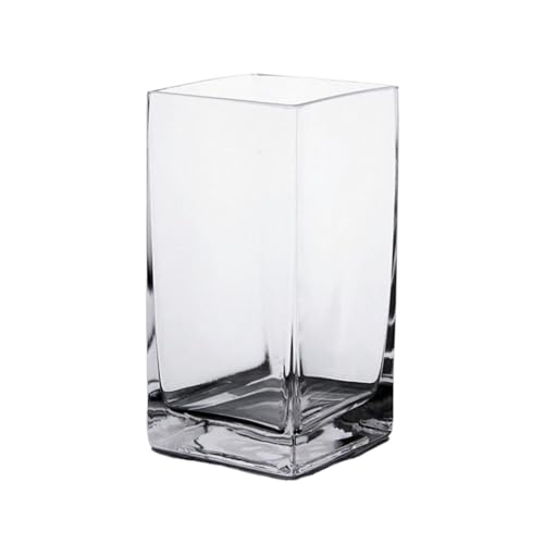Aquarium, verdicktes Glas, klein, transparent, quadratisch, für Zuhause, dekorative Glasvase, Blumenvase, Aquarium von CAOJLjiaxiang-2012
