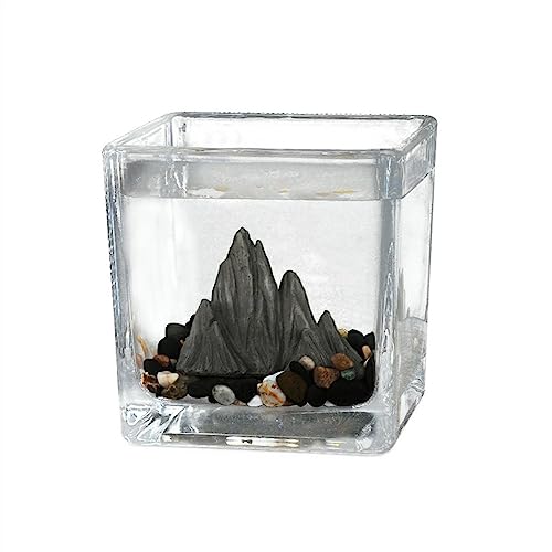 CAOJLjiaxiang-2012 Aquarium, klein, quadratisch, Aquarium, Mikrolandschaft, Gästezimmer, Büro, kleine Ornamente, Teetasse, Glas, Landschaftsgitter, Aquarium, Größe L von CAOJLjiaxiang-2012