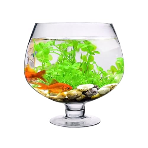 CAOJLjiaxiang-2012 Aquarium, klein, transparent, dick, Aquarium, Wohnzimmer, Schildkrötentank, kreatives Design für Aquarien (17 cm x 12 cm) von CAOJLjiaxiang-2012