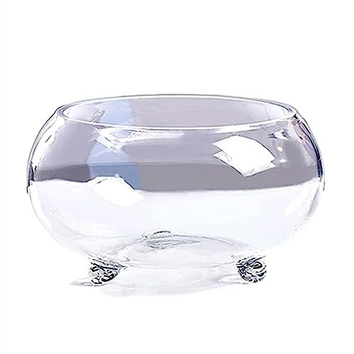 CAOJLjiaxiang-2012 Aquarium Fischtank aus transparentem Glas, verdickt, Schildkrötenbehälter mit Ständer, ökologischer Tank mit kleinem Fuß, Haus, Wohnzimmer, Büro, Schreibtisch Aquarium (mittel) CAOJLjiaxiang-2012 Aquarium Fischtank aus transparentem Glas, verdickt, Schildkrötenbehälter mit Ständer, ökologischer Tank mit kleinem Fuß, Haus, Wohnzimmer, Büro, Schreibtisch Aquarium (mittel) von CAOJLjiaxiang-2012