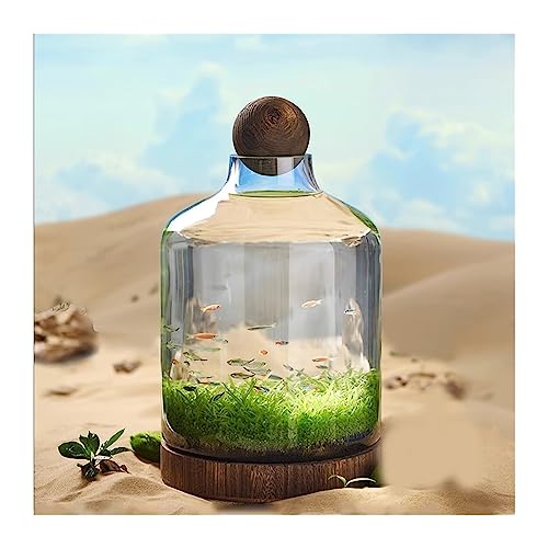 CAOJLjiaxiang-2012 Aquarium-Glasflasche für Aquarien, ökologischer Anbau, Mikro-Landschaft, kleiner, selbstzirkulierender Pflanzenbehälter mit Holzbasis, Schreibtisch-Dekoration für Aquarien (groß) CAOJLjiaxiang-2012 Aquarium-Glasflasche für Aquarien, ökologischer Anbau, Mikro-Landschaft, kleiner, selbstzirkulierender Pflanzenbehälter mit Holzbasis, Schreibtisch-Dekoration für Aquarien (groß) von CAOJLjiaxiang-2012