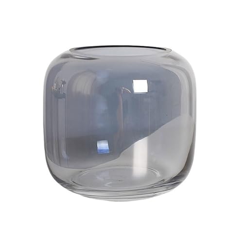 CAOJLjiaxiang-2012 Aquarium aus grauem Glas, klein, transparent, dick, für die Fütterung von kleinen Fischen CAOJLjiaxiang-2012 Aquarium aus grauem Glas, klein, transparent, dick, für die Fütterung von kleinen Fischen von CAOJLjiaxiang-2012
