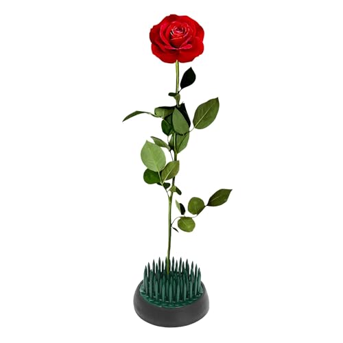 CAPASTEC Blumenfrösche Blumenigel für Blumenarrangements Zubehör Kupferne Runder Halterung Steckfrösche für Blumenhalter Grün 34 mm von CAPASTEC