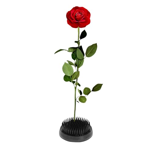CAPASTEC Blumenigel Blumenfrosch für Blumenarrangements Zubehör Kupfer Runder Ikebana Stiftfrosch für Blumenhalter Schwarz 60mm von CAPASTEC