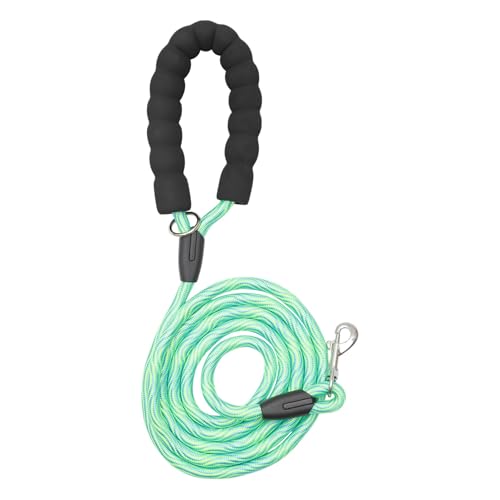 CAPASTEC Hundeleine Mit Bequemem Gepolstertem Griff Reflektierende Fäden Für Kleine Mittelgroße Große Hunde Für Training Spaziergänge Buntes Fluoreszierendes Grün 300cm x 10mm CAPASTEC Hundeleine Mit Bequemem Gepolstertem Griff Reflektierende Fäden Für Kleine Mittelgroße Große Hunde Für Training Spaziergänge Buntes Fluoreszierendes Grün 300cm x 10mm von CAPASTEC
