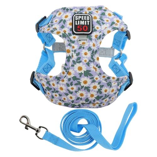 CAPASTEC Puppy Dog Geschirr Und Leine Set Mit Reflektierenden Streifen, Verstellbares Haustiergeschirr Für Spaziergänge, Haustiergeschirr Kleine Und Mittelgroße Hunde Und Katzen, XL, Blau von CAPASTEC