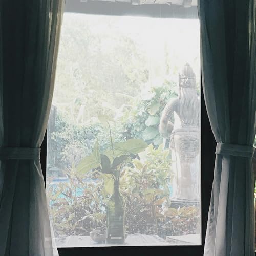 CAPASTEC Selbstklebende mattierte Fenster-Sichtschutzfolie,Fensterfolie Blickdicht Selbsthaftende, Sichtschutzfolie Anti UV Sonnenschutz für Büro Wohnzimmer 78,74" L x 17,72" W, Klar CAPASTEC Selbstklebende mattierte Fenster-Sichtschutzfolie,Fensterfolie Blickdicht Selbsthaftende, Sichtschutzfolie Anti UV Sonnenschutz für Büro Wohnzimmer 78,74" L x 17,72" W, Klar von CAPASTEC