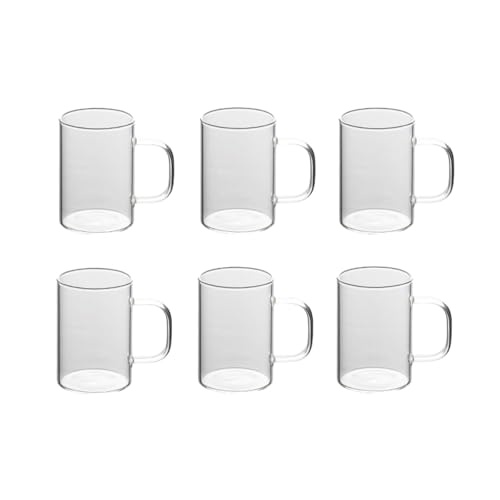 300 ml Haushalts-Hochtemperatur-Glas-Wasserflaschen-Set mit Griff, 6 Stück [transparenter Griff] von CAPIJIONG