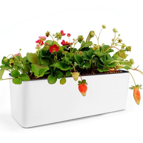CAREDGO Blumentopf Selbstbewässerung, Blumentopf mit Wasseranzeiger Blumenkasten Kunststoff 40cm *13cm *13cm Kräutertopf Selbstbewässerend Weiß Pflanzentopf mit Bewässerungssystem für Pflanzen von CAREDGO