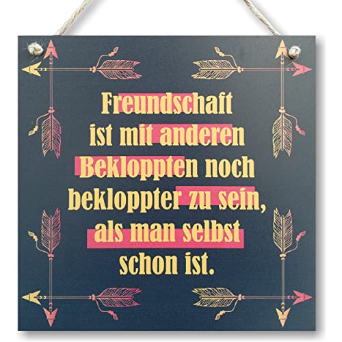 CARISPIBET Freundschaft ist Wandschild Türschild Dekorationsschild Hausschild Wohnkultur im Vintage-Look mit Zitat als Geschenk 20x20 von CARISPIBET