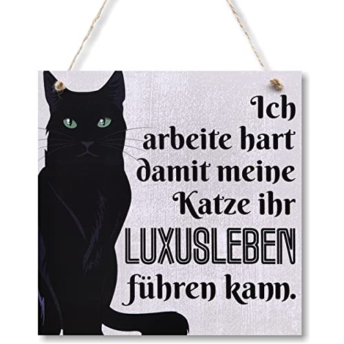 CARISPIBET Ich arbeit hart Heimdeko, dekoratives Schild, Hausschmuck, Plakette, Wanddekoration 20 x 20 cm von CARISPIBET