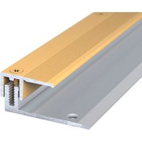 CARL PRINZ Abschlussprofil »LPS 220«, BxH: 50 x 13 mm, versenkt gelocht - goldfarben von CARL PRINZ