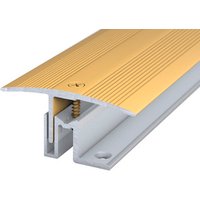 CARL PRINZ Übergangsprofil »PS 400 XXL«, BxH: 49 x 20 mm, versenkt gelocht - goldfarben von CARL PRINZ