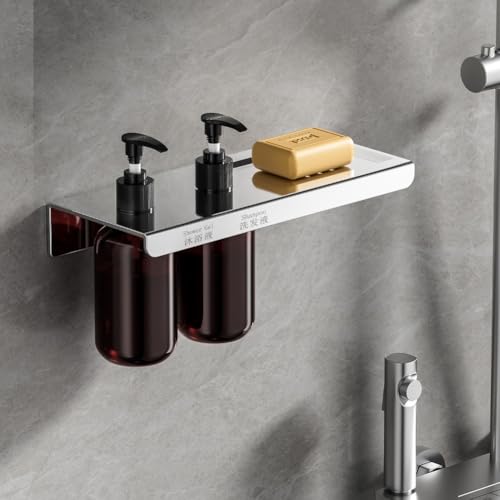 Seifenspender aus Edelstahl mit Aufbewahrungsregal, Kunststoffschale und Handseifenspender (C) von CARMOTTER