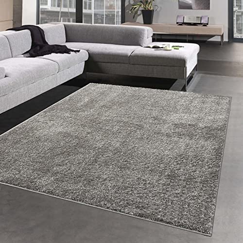 CARPETIA Glamour Teppich Hochflor flauschig warm • in grau Größe 120 x 170 cm von CARPETIA