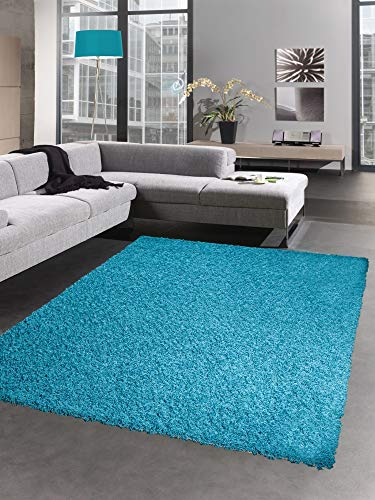 CARPETIA Shaggy Teppich Hochflor Langflor Bettvorleger Wohnzimmer Teppich Läufer Uni türkis Größe 120x170 cm von CARPETIA