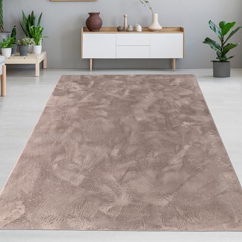 CARPETIA Teppich Wohn- und Schlafbereich Moderner Kurzflorteppich Felloptik samtweich angenehm mit leichtem Glanz pflegeleicht modern einfarbig Taupe 200 x 290 cm CARPETIA Teppich Wohn- und Schlafbereich Moderner Kurzflorteppich Felloptik samtweich angenehm mit leichtem Glanz pflegeleicht modern einfarbig Taupe 200 x 290 cm von CARPETIA