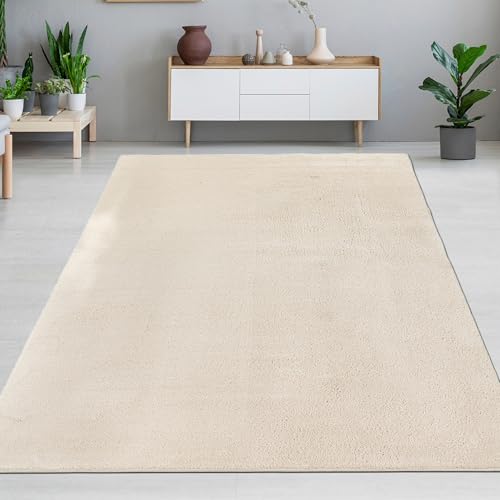 CARPETIA Teppich Wohnzimmer Esszimmer Schlafzimmer hell weich pflegeleicht zeitlos hochwertig kompatibel mit Bodenerwärmung wohnlich designstark vielseitig Creme 300 x 400 cm von CARPETIA