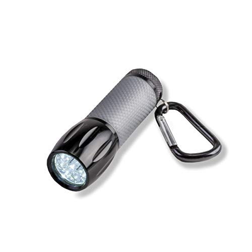 Carson LEDSight PRO Taschenlampe mit 9 LEDs, zwei Helligkeitsstufen und Karabinerhaken (SL-55), Grau von CARSON
