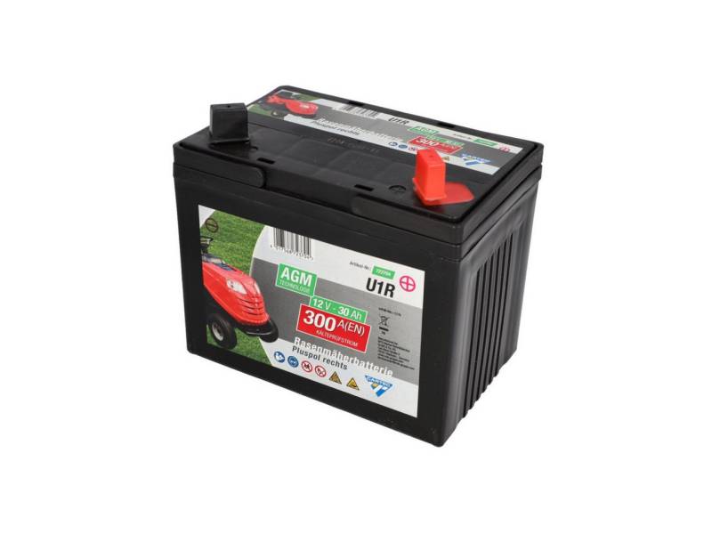 CARTEC Rasenmähermesser Cartec Rasenmäherbatterie 30Ah/300A +rechts CARTEC Rasenmähermesser Cartec Rasenmäherbatterie 30Ah/300A +rechts von CARTEC