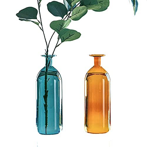 CARURLIFF Bud Vase für Dekor, kleine Vasen für Blumen, Set von 2 farbigen Glasvasen für Dekoration, Wohnzimmer, moderne Heimdekoration, Bücherregal-Dekorationen (2 Stück) von CARURLIFF