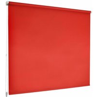 Casa Pura - Sichtschutzrollo Daylight Color Rot 120 x 150 cm - Rot von CASA PURA