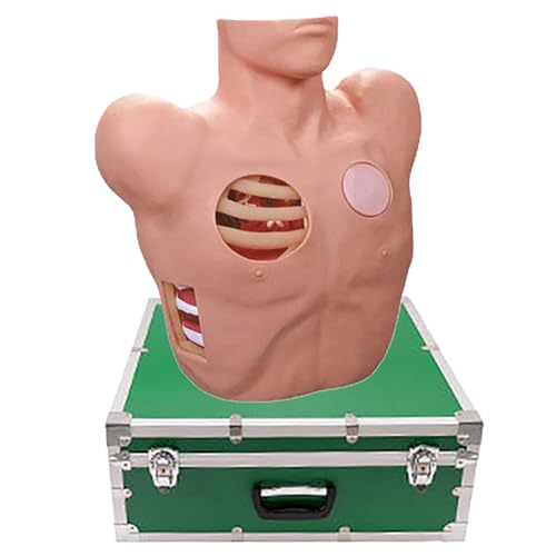 CASOME Thorazentese-Drainagemodell für Pneumothorax- und Flüssigkeitsbrusttraining, Anatomischer PVC-Simulator für Medizinische Schulen, Krankenhäuser und Ärztetraining CASOME Thorazentese-Drainagemodell für Pneumothorax- und Flüssigkeitsbrusttraining, Anatomischer PVC-Simulator für Medizinische Schulen, Krankenhäuser und Ärztetraining von CASOME
