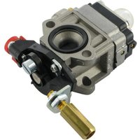 Castelgarden - Vergaser alpina 4353290 - ggp - 4353290 Castelgarden - Vergaser alpina 4353290 - ggp - 4353290 von CASTELGARDEN