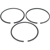 Kolbenring alpina 6980266 - ggp - 6980266 Kolbenring alpina 6980266 - ggp - 6980266 von CASTELGARDEN