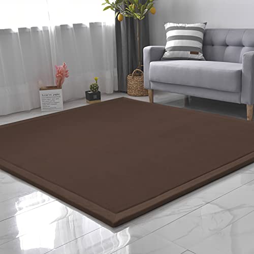 CASTLYE Kinderteppich Korallensamtteppich Teppiche Fürs Kinderzimmer Matten Teppich Anti Rutsch Unterlage Teppich Wohnzimmer, Braun, 120x180cm von CASTLYE