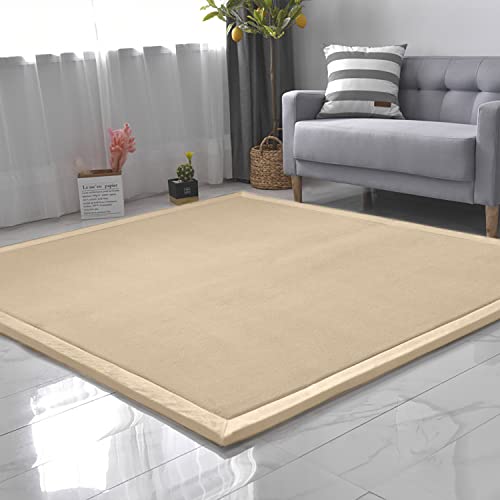 CASTLYE Kinderteppich Korallensamtteppich Teppiche Fürs Kinderzimmer Matten Teppich Anti Rutsch Unterlage Teppich Wohnzimmer, Naturbraun, 80x150cm von CASTLYE