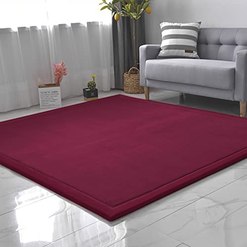 CASTLYE Kinderteppich Korallensamtteppich Teppiche Fürs Kinderzimmer Matten Teppich Anti Rutsch Unterlage Teppich Wohnzimmer, Traubenrot, 80x150cm von CASTLYE