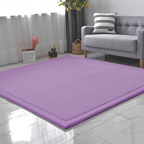 CASTLYE Kinderteppich Korallensamtteppich Teppiche Fürs Kinderzimmer Matten Teppich Anti Rutsch Unterlage Teppich Wohnzimmer, Violett, 80x150cm von CASTLYE