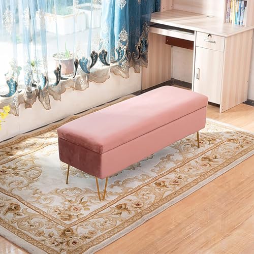 CATANK Endbank-Sofa für Eingangsbereich und Wohnzimmer, moderner rechteckiger Plüsch-Sitzhocker mit Stauraum, getuftete Fußbank, gepolsterte Samt-Sitzbank mit Stauraum-Rosa 80x40x43cm (31 CATANK Endbank-Sofa für Eingangsbereich und Wohnzimmer, moderner rechteckiger Plüsch-Sitzhocker mit Stauraum, getuftete Fußbank, gepolsterte Samt-Sitzbank mit Stauraum-Rosa 80x40x43cm (31 von CATANK