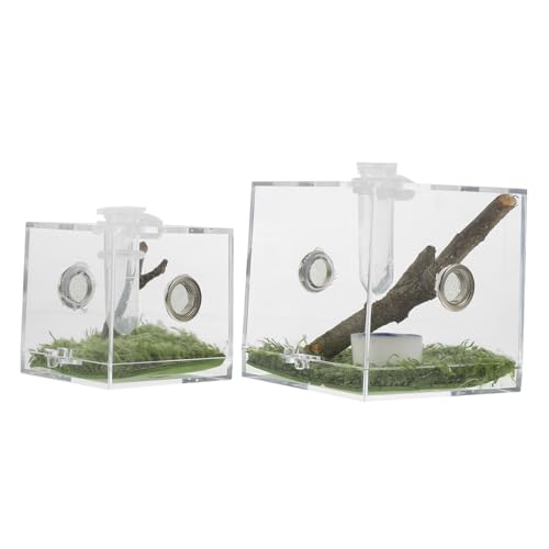 CATIEBYE 2 Stück Teiliges Transparentes Acryl Springspinnen Terrarium Zuchtbox mit Belüftung und Futteröffnung Leichtes Insektenhabitat für Spinnen Gottesanbeterin Schnecken und Kleine CATIEBYE 2 Stück Teiliges Transparentes Acryl Springspinnen Terrarium Zuchtbox mit Belüftung und Futteröffnung Leichtes Insektenhabitat für Spinnen Gottesanbeterin Schnecken und Kleine von CATIEBYE