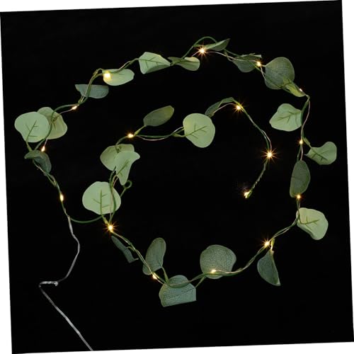 CATIEBYE 2m Lichterkette Mit Künstlichen Eukalyptusblättern Dekolampe Für Innenräume Für Hochzeits Und Weihnachtsdekoration Ohne Batterie Warmweißes Licht CATIEBYE 2m Lichterkette Mit Künstlichen Eukalyptusblättern Dekolampe Für Innenräume Für Hochzeits Und Weihnachtsdekoration Ohne Batterie Warmweißes Licht von CATIEBYE