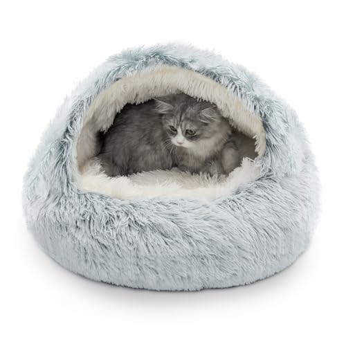 CATISM Katzenbett Waschbar Katzenschlafplatz für Katzen Plüsch Haustier Katzenkopfkissen Katzenkissen Flauschiges Kätzchen Welpen Kuschelbett Haustierbett Grau - XL(60cm) von CATISM