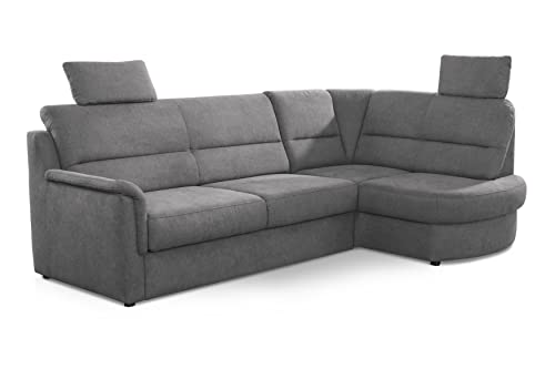 Cavadore Ecksofa Paris mit Federkern / Kleines L-Sofa mit Vorziehsitz, Bettkasten und Ottomane / inkl. 2 Kopfstützen / 243 x 112 x 155 / Grau von CAVADORE