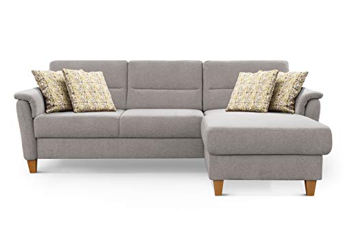 CAVADORE Schlafsofa Palera / Federkern-Ecksofa mit Schlaffunktion und Bettkasten / 244 x 89 x 163 / Chenille-Bezug, Hellgrau von CAVADORE
