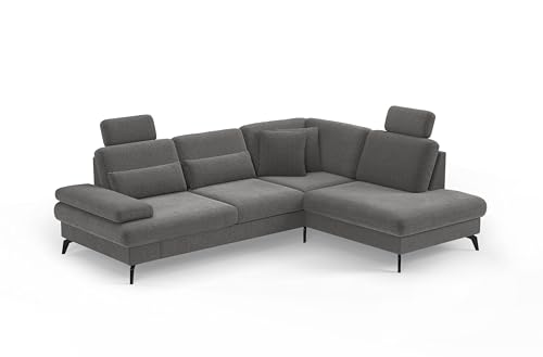 Cavadore Eckcouch Moritz / Ecksofa im trendigen Design mit Bett, Bettkasten, Sitztiefenverstellung, Kopfstützen und mattschwarzen Metallfüßen / 262 x 82-107 x 212 / Flachgewebe, Grau von CAVADORE