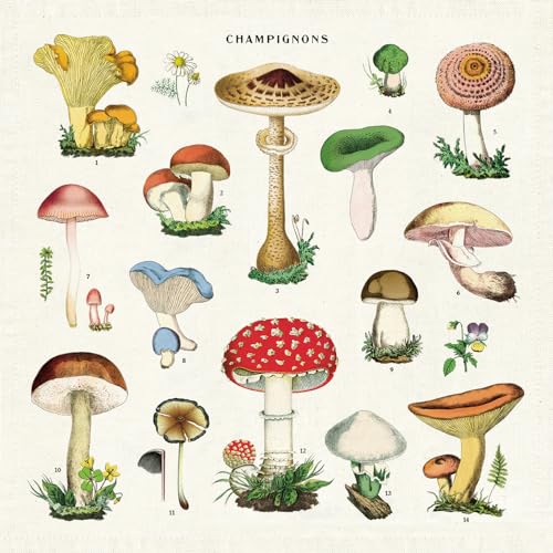 Cavallini, Set mit 4 Stoffservietten Motiv Pilze Cavallini, Set mit 4 Stoffservietten Motiv Pilze von CAVANILLI & CO.