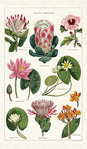 Cavallini Tropical Plants Tea Towel Geschirrtuch, Baumwolle, Mehrfarbig von CAVANILLI & CO.
