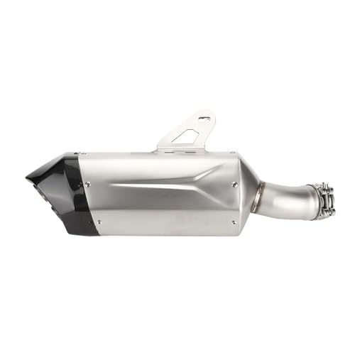 CAWEUER Kompatibel mit BMW R1300GS R 1300GS R 1300 Gs Adventure 2024-2025 Motorradsystem-Endrohre for BMW R1300 Gs-Zubehör(Silver) von CAWEUER