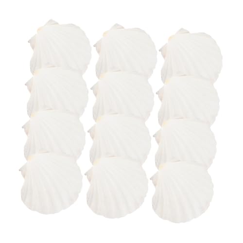CAXUSD 20 Stück Natural Shell -Tabelle Grillbare Muscheln Backen Muscheln Muschelplatte zum Grillen tropisches Geschirr natürliche Schale Beige von CAXUSD